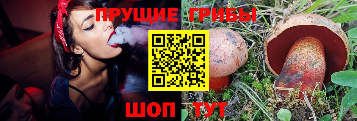 Берёзовский  Галлюциногенные грибы ЛСД  Псилоцибиновые грибы MAGIC MUSHROOMS  Вход с VPN 